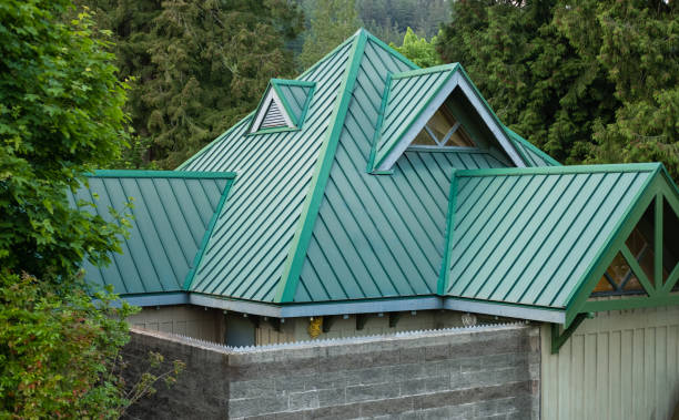 Best Solar Panel Roofing Installation  in Glenwood, IL