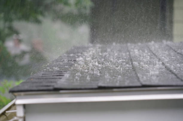 Best Asphalt Shingle Roofing  in Glenwood, IL